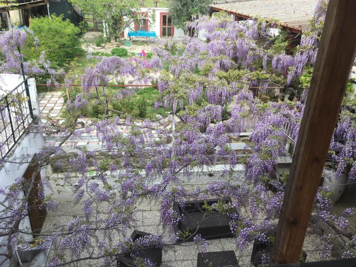 B&B Il Secolo Breve Ortona Luaran gambar