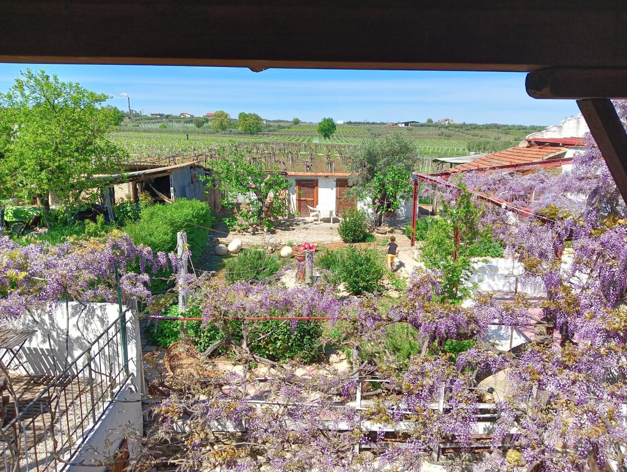 B&B Il Secolo Breve Ortona Luaran gambar